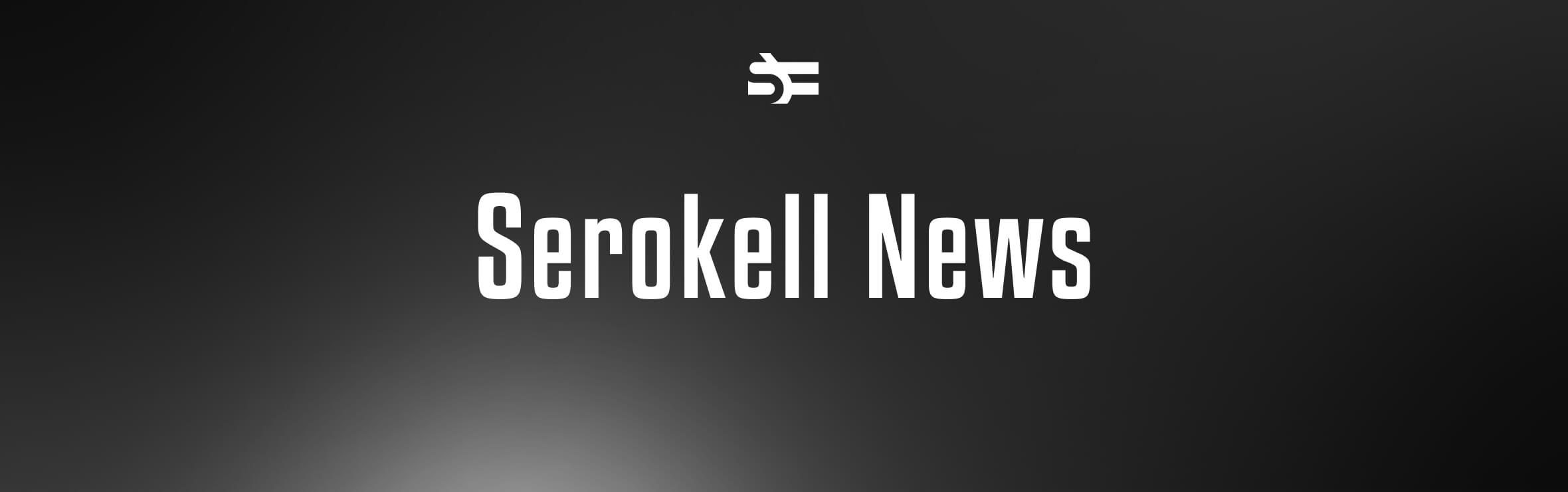 Serokell Offers Free Consultations